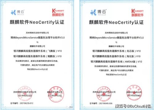 博云微服務產品與麒麟軟件完成兼容互認證，共筑國產化云原生生態